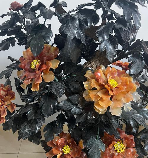 牡丹花拿回家怎么种？有哪些步骤和注意事项？
