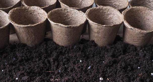 尿液能用作肥料吗？如何正确使用尿液作为植物肥料？