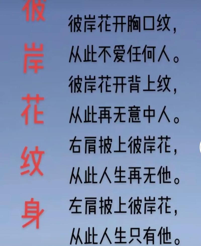两朵彼岸花的花语是什么？它们代表了什么寓意？