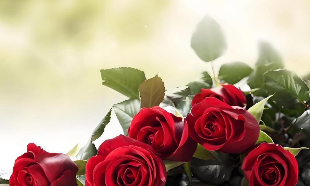 跨年时送花有什么特别的花语吗？代表了什么？