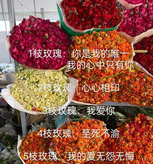 19朵玫瑰花代表了什么？19朵玫瑰的花语是什么？