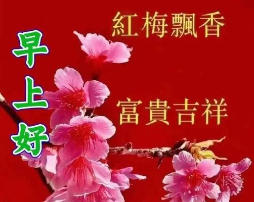 三月赠花传递了哪些祝福？