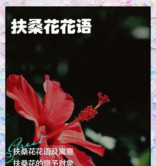 二月花卉的花语有哪些？