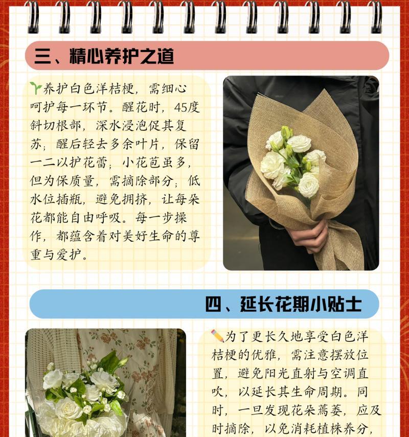 代表自由且美好的花语是什么？如何表达向往？