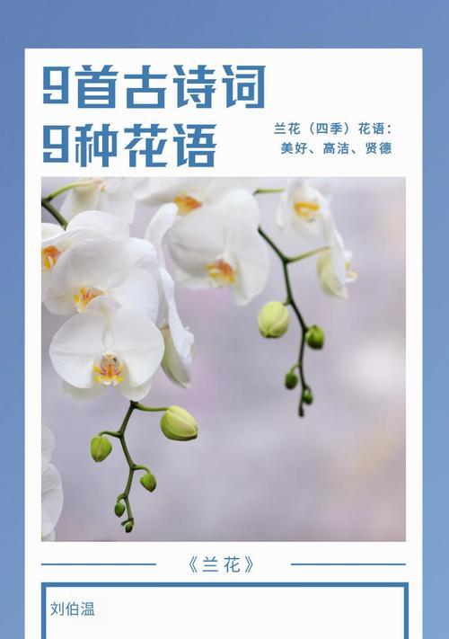 新疆花语这首诗表达了哪些情感？