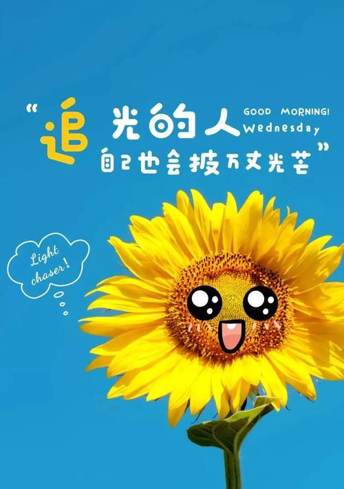 向日葵精神的花语是什么？向日葵花语如何表达积极向上的态度？