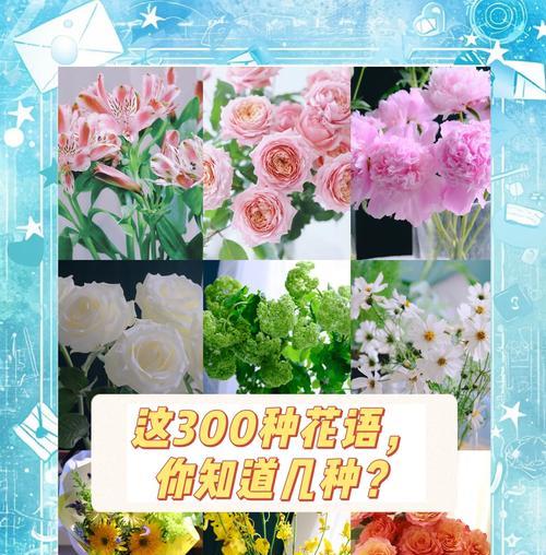 不常见的三种花的花语？你知道它们各自代表什么吗？