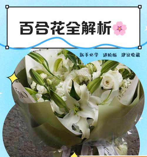 百合的十种做法及营养系统性解析是什么？