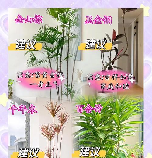 聪明人都在偷偷养的“4种花”是什么？