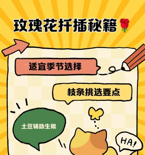 玫瑰花插枝存活的方法是什么？