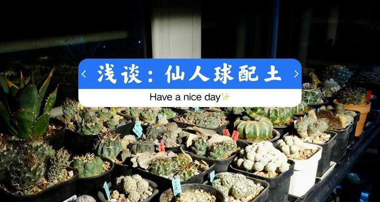 仙人球种植教程有哪些？图解步骤详细说明是什么？
