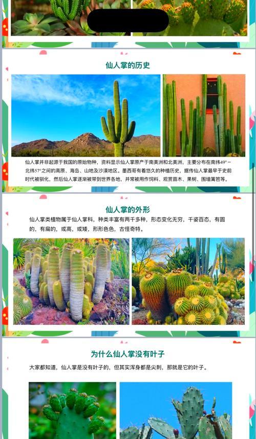 仙人掌冬季防寒的养护技巧是什么？