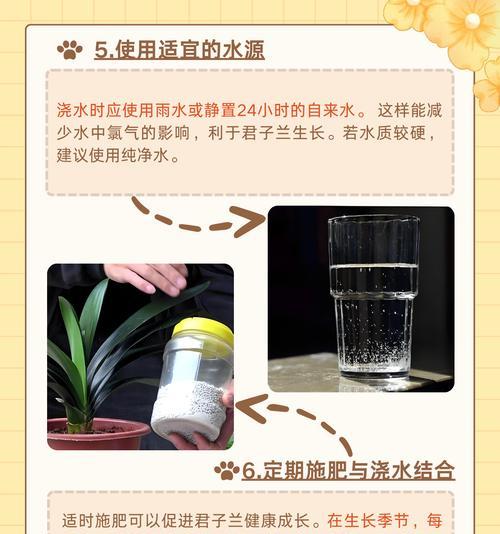 桔皮水能用来浇君子兰吗？正确的浇水方法是什么？