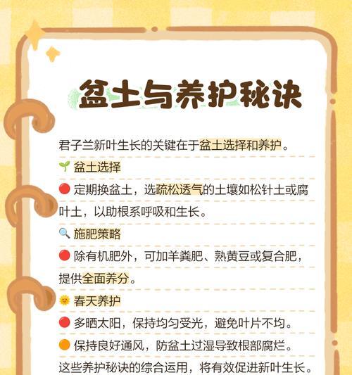 君子兰换苗后不发新芽是为什么？