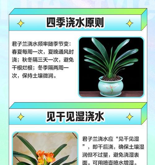 君子兰养殖有哪些诀窍？