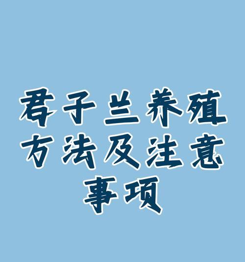 君子兰养殖有哪些诀窍？