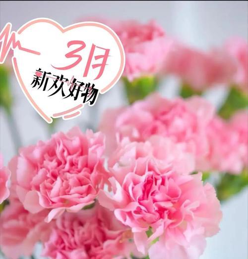 康乃馨代表什么花语？花语背后的含义是什么？