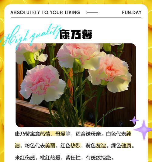 哪种花的花语是鼓励？