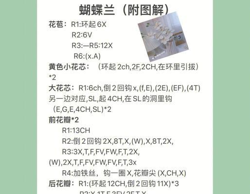 蝴蝶兰花语及其寓意是什么？