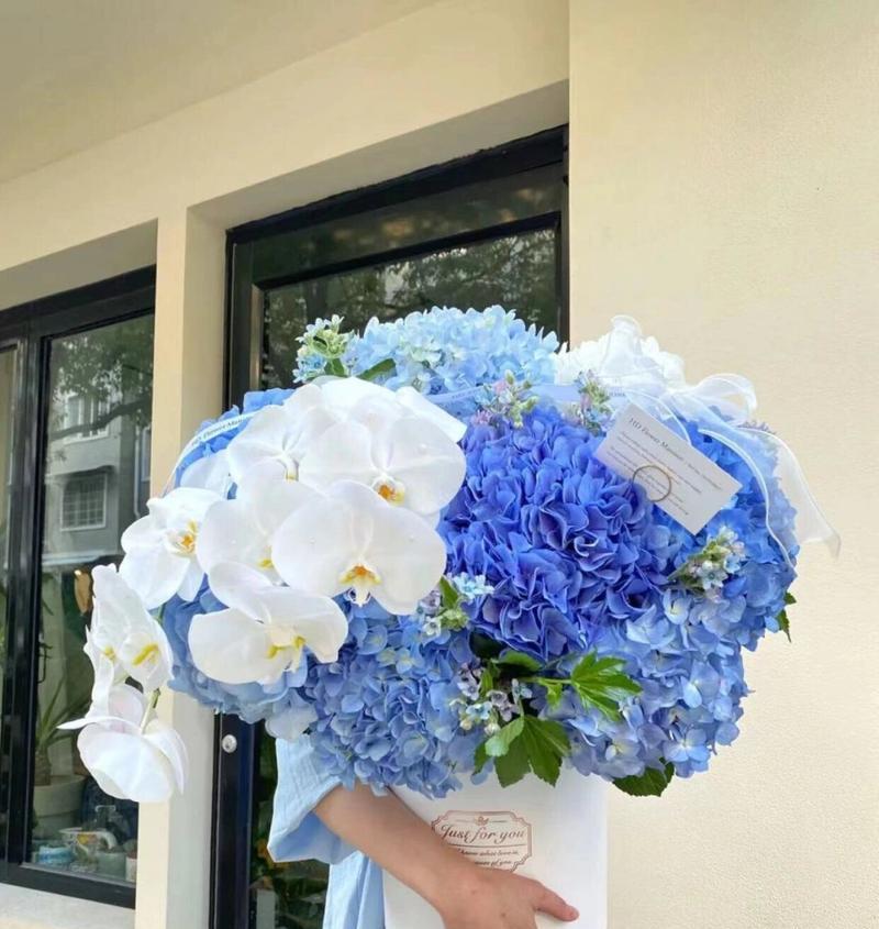 浅蓝色绣球花的花语代表了什么？