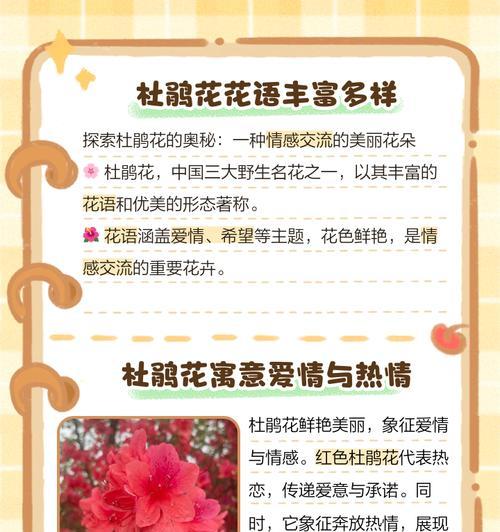 玫瑰与杜鹃花的花语有何不同？
