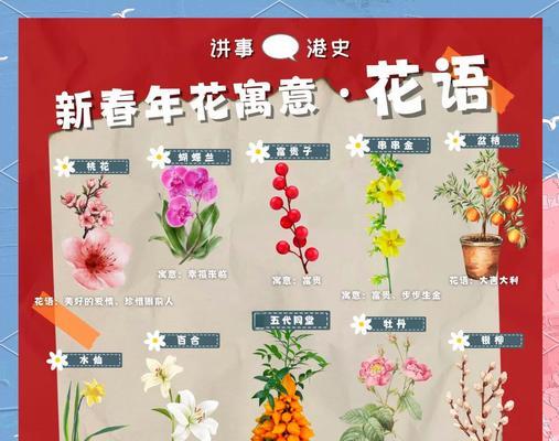 好友聚一起的花语是什么？聚会时选择哪种花最合适？