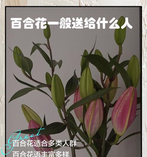 好友聚一起的花语是什么？聚会时选择哪种花最合适？