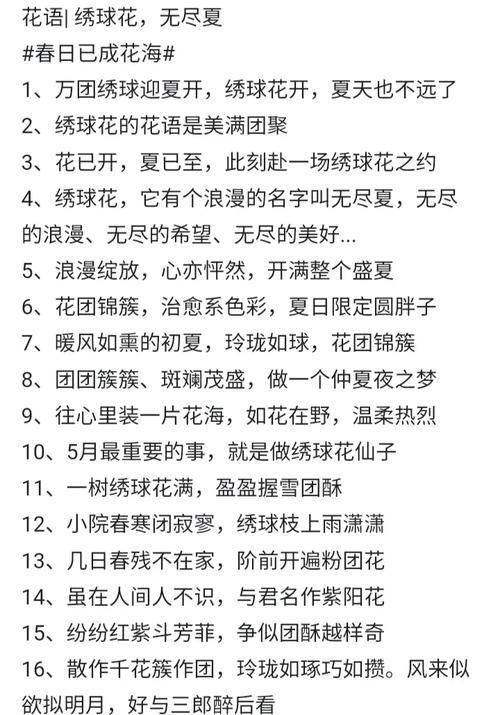 绣球花的花语心变是什么意思？绣球花颜色变化对情感有何影响？