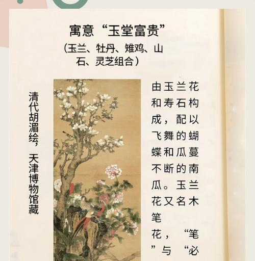 玉兰花的花语代表了什么？