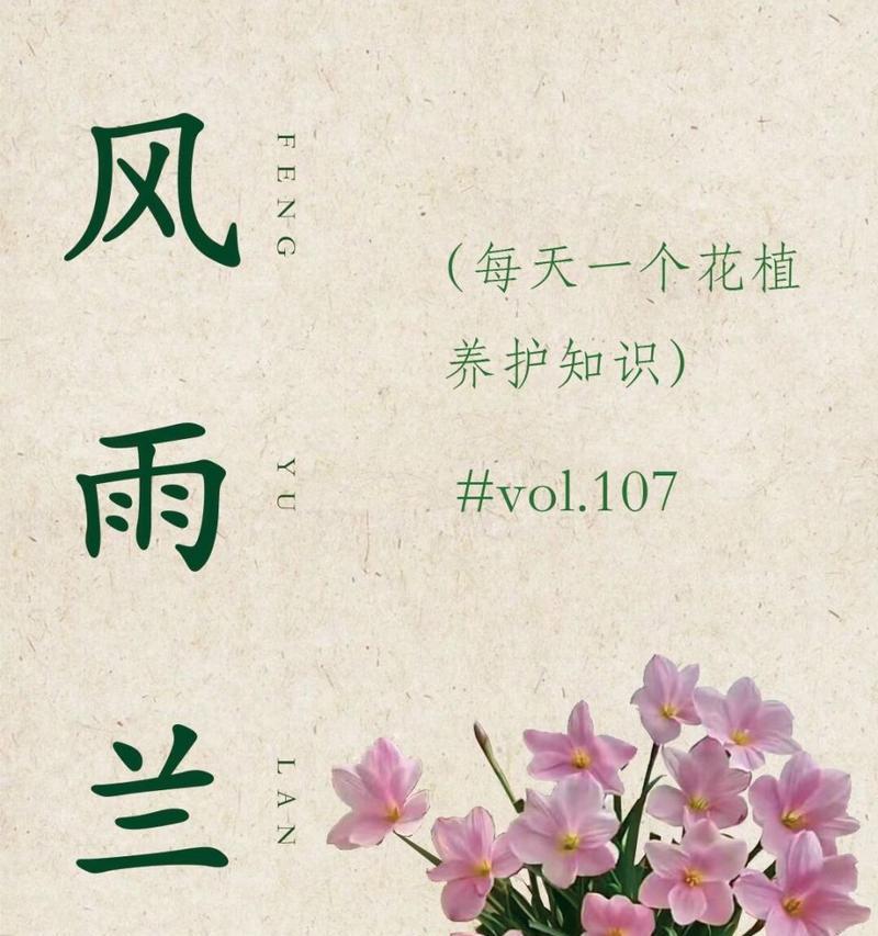 葱兰的正确养护技巧有哪些？