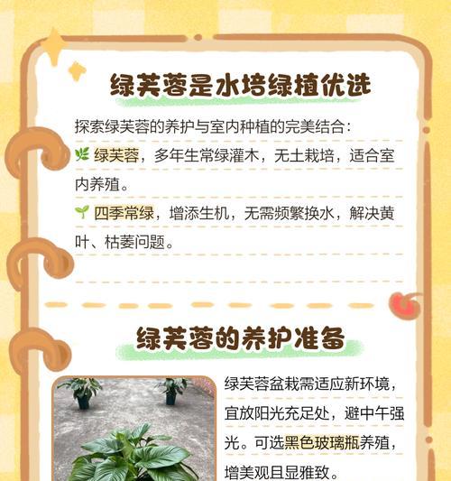 芙蓉的养护技巧有哪些？