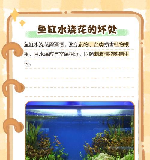 如何将浇花的水调整为酸性？酸性水对植物有何好处？