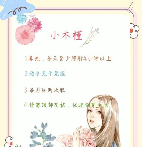 怎么养木槿花？木槿花的养殖环境和管理要点是什么？