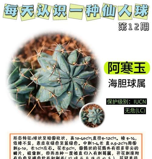仙人山在园艺中的作用是什么？