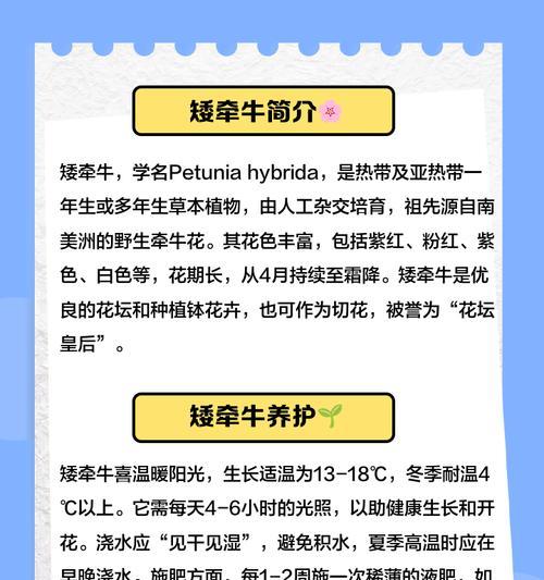矮牵牛的养殖方法和常见问题解答？