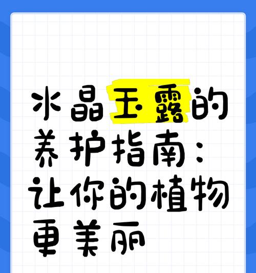 玉露养护透亮的秘诀是什么？