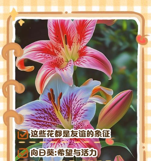 花朵有哪些作用和意义？如何利用花朵进行装饰和表达情感？
