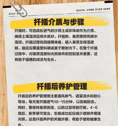腊梅花扦插的正确步骤是什么？如何提高成活率？