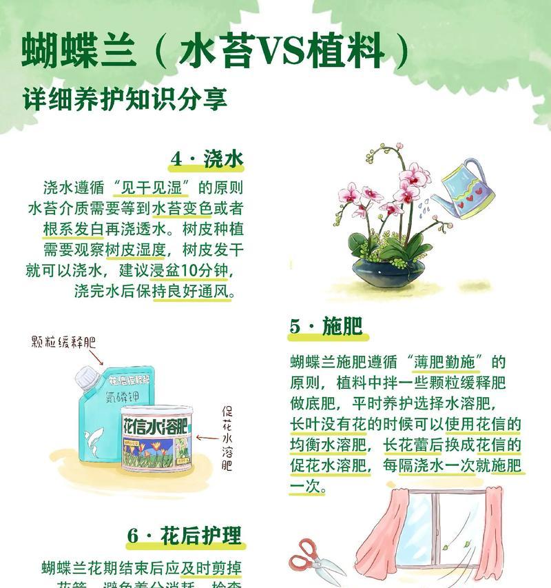 蝴蝶兰花期后如何正确养护？