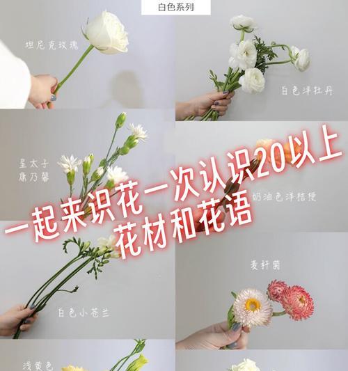 并蹄莲的养殖方法是什么？