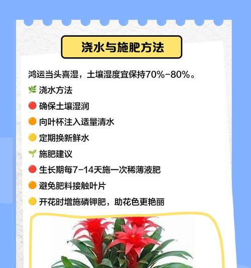 红运当头花浇水的正确方式是什么？