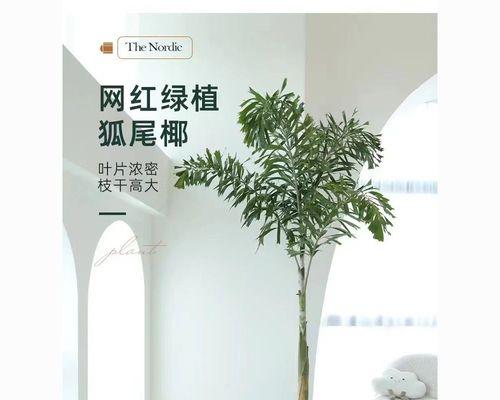 迷你椰子树怎么养？迷你椰子树的养殖技巧和维护要点是什么？