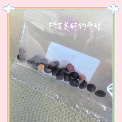 矮牵牛种子的播种时间是什么时候？播种方法有哪些？