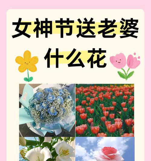 双相奔赴的花语是什么？这种花语表达了怎样的情感？