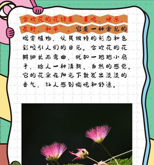 哪种花代表光明？它的花语和寓意是什么？